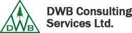 DWB Consulting Services Ltd.